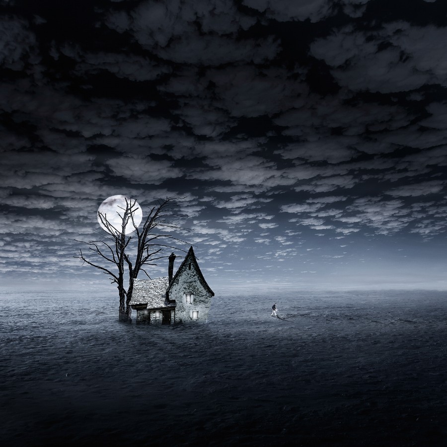 human-pets:  Mondschein by Christine Ellger