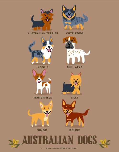 chrc: ivyarchive: mymodernmet: Illustrator Lili Chin&rsquo;s adorable series Dogs of t