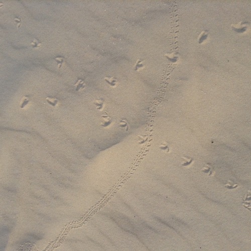 m-adr: Patterns in the sand