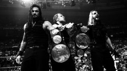 chrrysnflowers-deactivated20200: the shield + wwe titles 