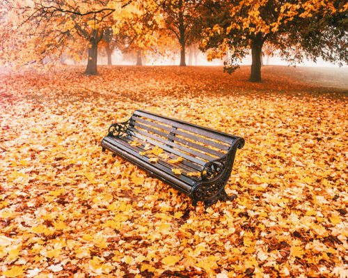 photography-cnl:Photographer Kristina Makeeva Captures What Autumn Looks Like Around Europe Keep rea