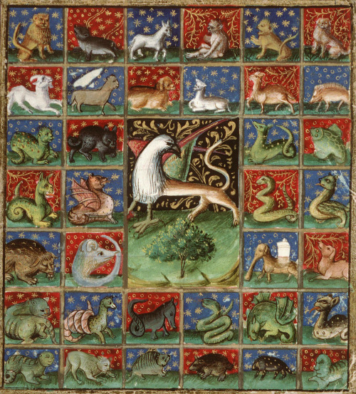 discardingimages:‘the properties of beasts’Bartholomeus Anglicus, ‘Livre des propriétés 