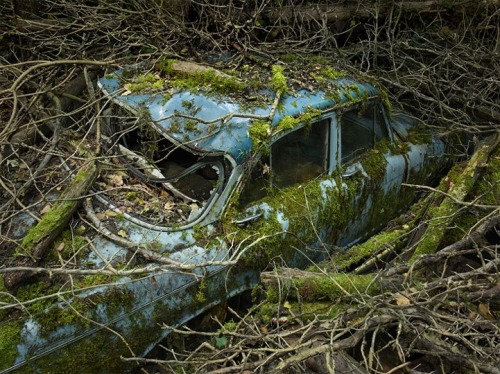 nevver: Where did we park, Peter Lippman adult photos