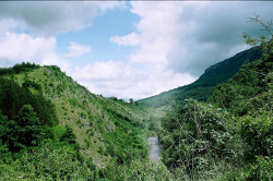 arquerio:  Stara Planina by the elusive miss