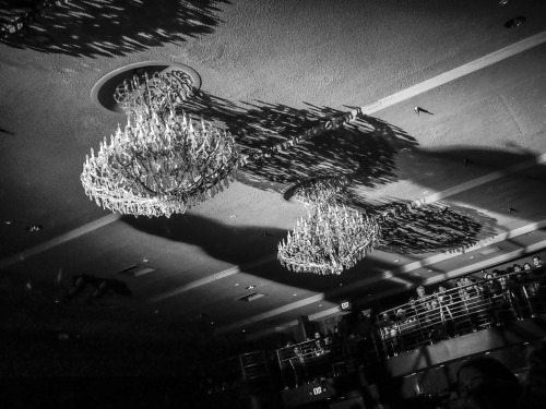 The shadow of LONDON GRAMMAR Hannah Reid on Vocals, Dot Major on Drums, Dan Rothman on Guitar on the ceiling on Flickr.
Shadows of London Grammar
El Rey Theatre on Wilshire Blvd, Los Angeles, CA (March 25, 2014)
©2014 Rebecca Dru Photography All...