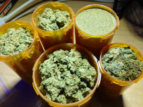 mentalpeace:  omg the kief 