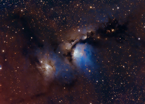 just–space:Stardust and Starlight in M78 : Interstellar dust clouds and bright nebulae abound in the fertile constellation of Orion. One of the brightest, M78, is near the center in this colorful telescopic view, covering an area north of Orion’s