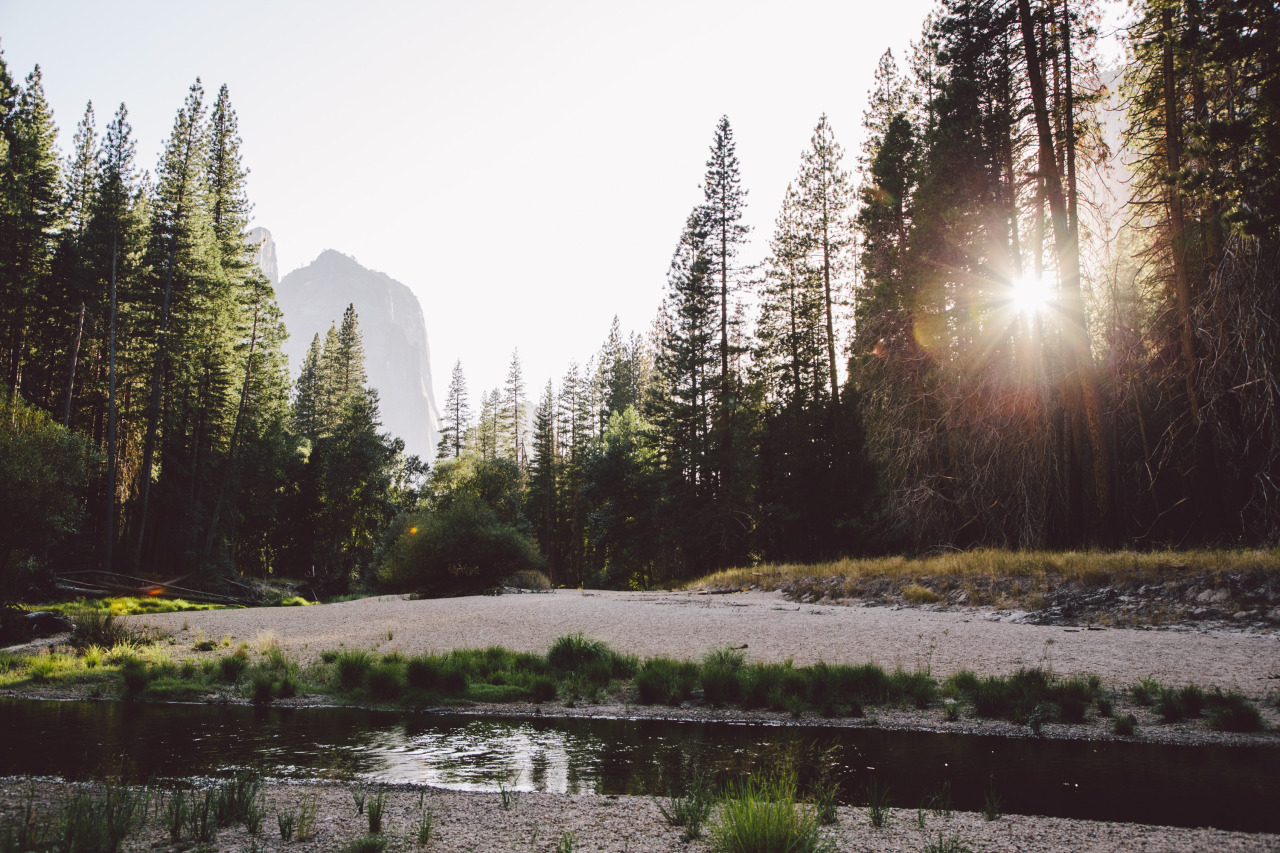 eartheld:  jeffstockwell:  weekend getaway in Yosemite   mostly nature 