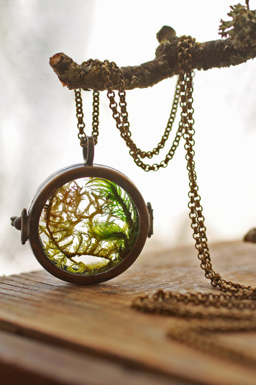 wickedclothes:Floating Moss LocketCreating a small woodland scene, this floating locket contains fou