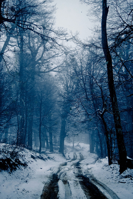 pela-schmidt:  Winter Blues, Challhuaco Valley, Patagonia, Argentina.©Pela SchmidtTumblr