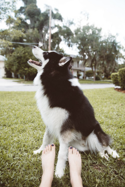 foxphoto:  i put aside at least 2 hours a day to play outside with my little guy because just look how happy he is  