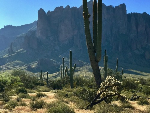 thelostcanyon: Cliffs at the west end of the Superstition Mountains near Apache Junction, Pinal Coun