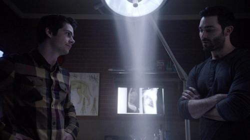 sterek