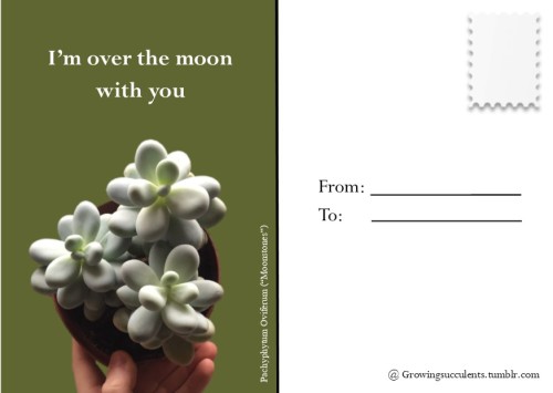 growingsucculents:i made some cute Valentines day cards! Feel free to send them around and spread th