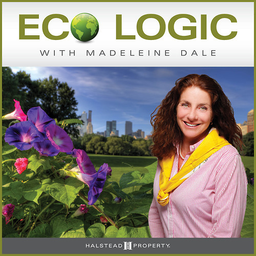 ECO LOGIC - HOLD BACK THE SEA
By Madeleine Dale, Senior Vice President, West Side Office
Wrapped in 520 miles of waterfront, New York City has more shoreline to defend than any other U.S. city. To address the challenge of rising oceans, the City...