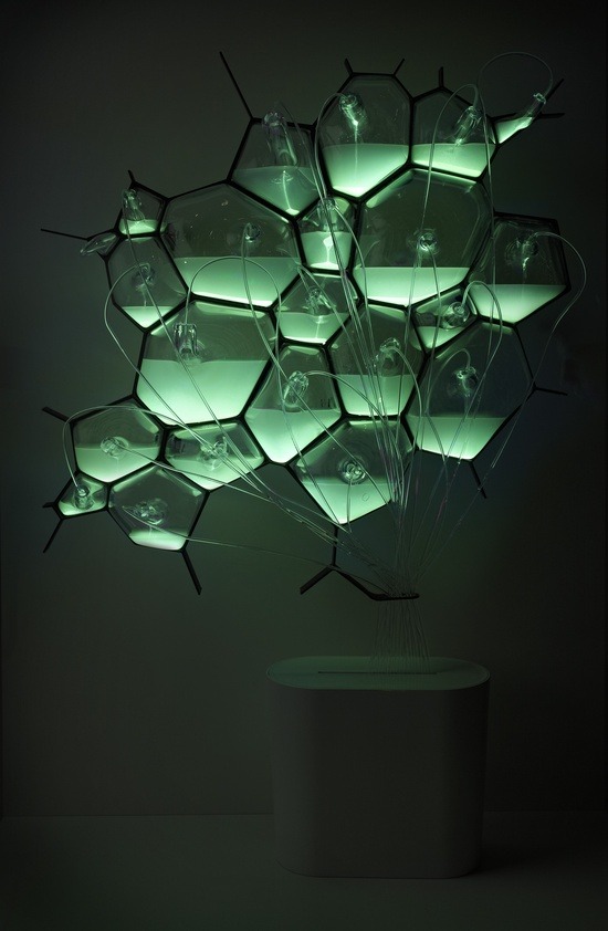 iheartmyart:  Bio-light…light fixture that runs on bacteria. (via natureoflight)