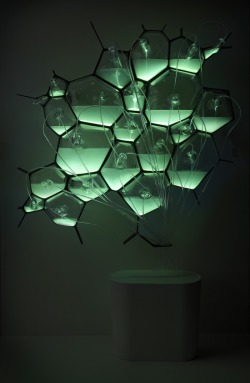 iheartmyart:  Bio-light…light fixture that runs on bacteria. (via natureoflight) 