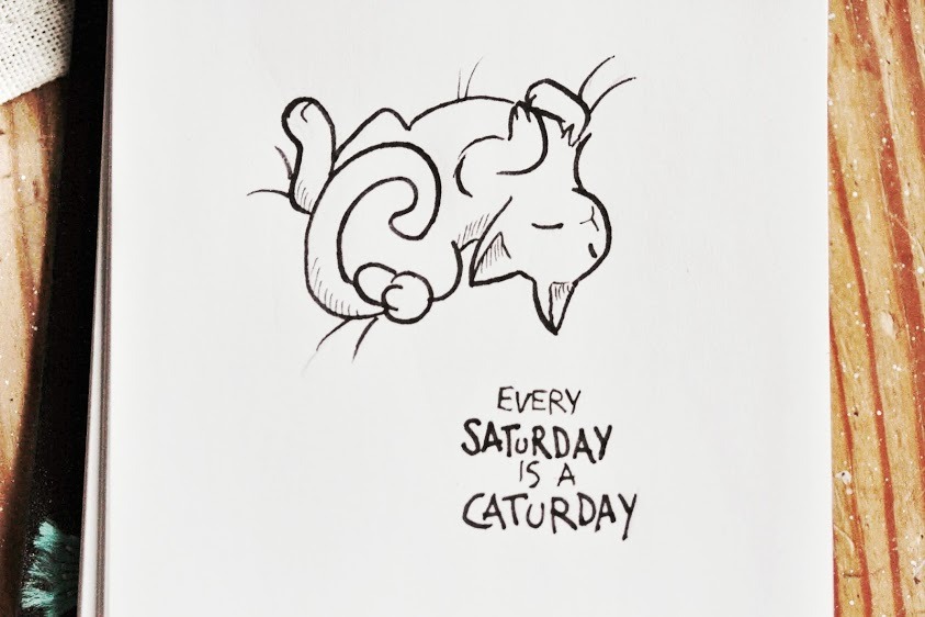 mijbilcreatures:  mixed cat sketches :P Instagram   Facebook   Etsy   Blog  