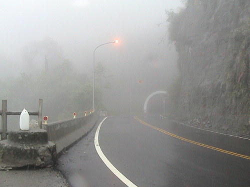 hvllucinvtion:  iobservable:  I tried to catch some fog, I mist  mother natures blog