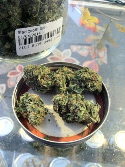 cannabis-vibes:  this is my current favorite