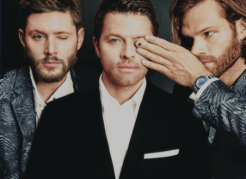 thehouseofcastiel: mishasminions: FINALLY A PHOTOSHOOT THAT HIGHLIGHTS JUST HOW BEAUTIFUL THESE TH