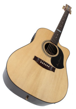 Maton serie TE