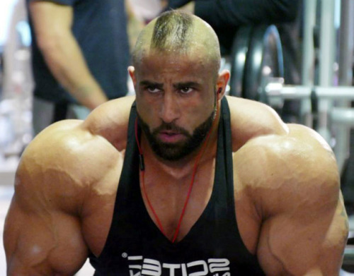 MUSCLE CORPS