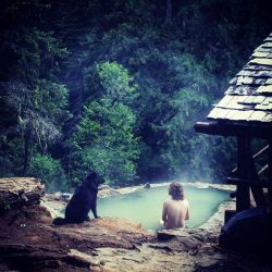 soakingspirit:  anton_uzhСобака - друг человека  A good morning leads to a good day. Proven many times:-) A boldog élet ilyen pillanatokból tevődik össze:-)  #hotsprings  #wood  #morning  #mountains  #melegforrás  #Oregon  #Umpqua