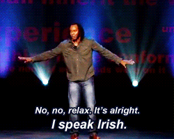 sizvideos:  Reginald D Hunter on Ireland - Videeo   The Irish do have a weird sense of humor.