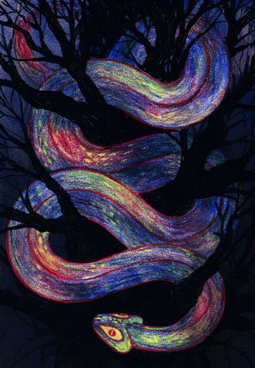 sixgills:Rainbow Snake Been experimenting with rainbow pencils the last few months 
