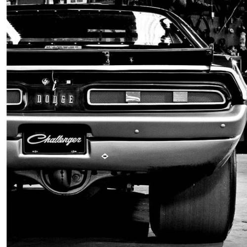Porn photo classicmusclevintagecars: Dodge Challenger