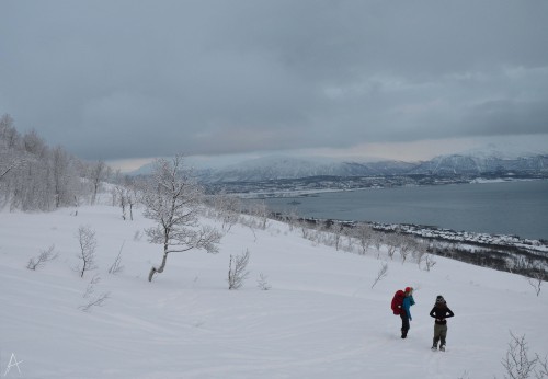 tromsø