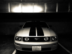 ford-mustang-generation:  Day 6: Trapped Indoors by ajay_suresh on Flickr.