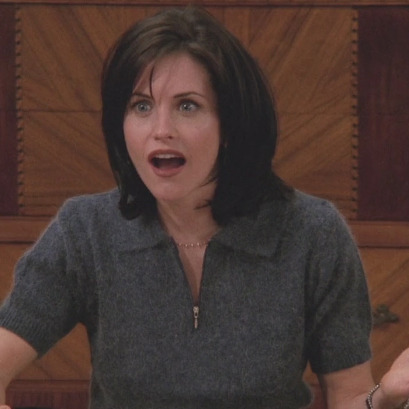towallthefriendsepisodes:  Crazy Monica S01-S10 