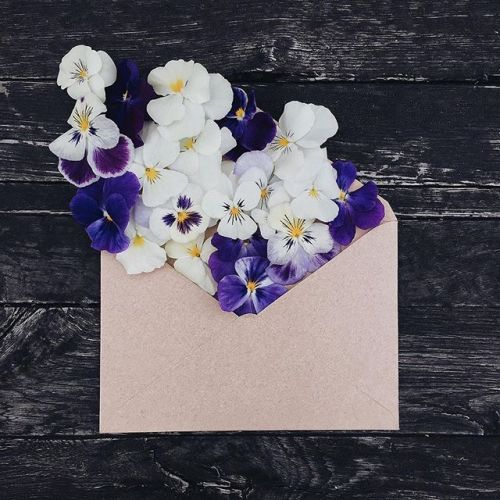 floralls:  envelope series I by anna remarchuk       
