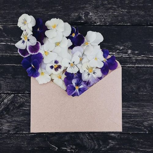 floralls:  envelope series I by anna remarchuk        