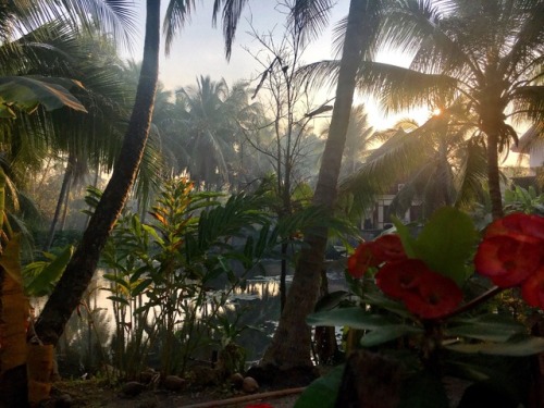 packing-bags:Roadside - Luang Prabang, Laos (2017)