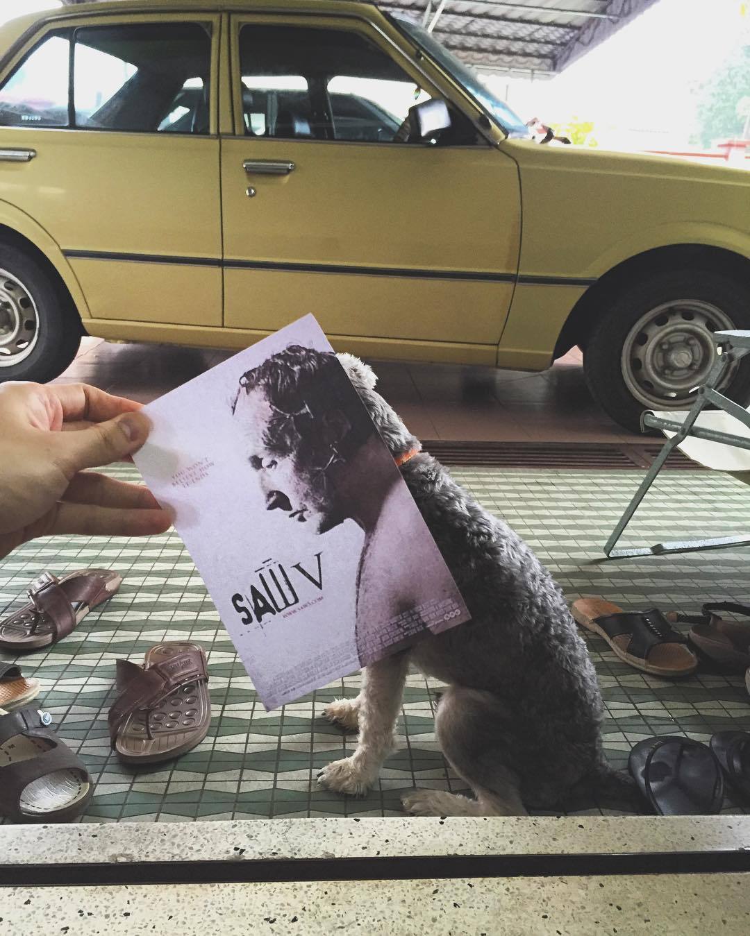 Hilarious Instagram movie poster mash-ups
