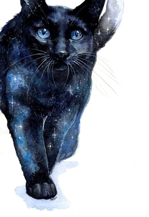 interplanetaryconnections:lohrien:Bethany SchmethanyCutest space cat ever