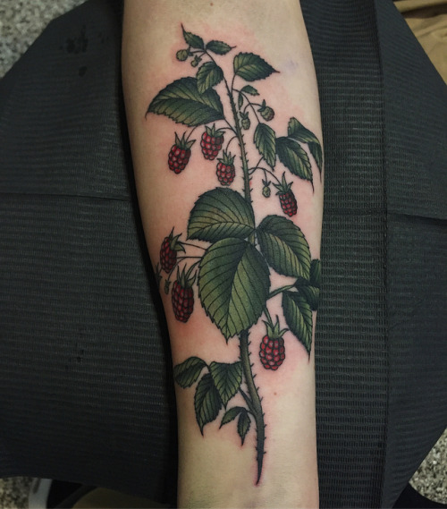 Razzin some berries here at @akara_arts. Josh’s first tattoo, thanks again dude! #americanatattoos #