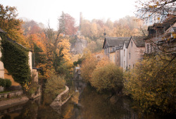 cleoreist: Luxembourg, October 2015