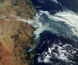 karlrincon:Let’s talk about what’s happening in Australia, which is suffering its worst bushfire season in recorded history.This almost unimaginable catastrophe has killed half a billion animals with more than 14.5 million acres burned and released