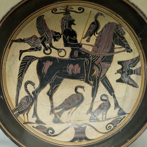 A horseman, surrounded by birds and attended by a winged deity (perhaps Nike).  Laconian black-figur