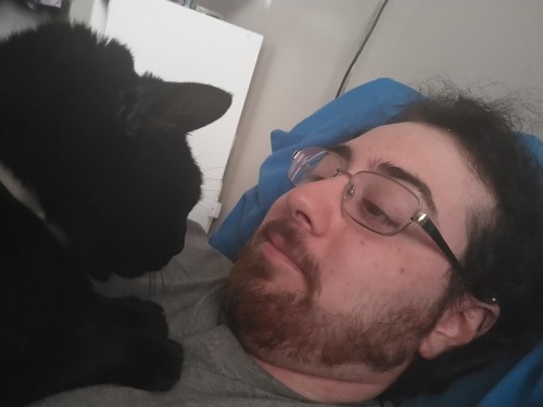 Help Me Save My Cat!