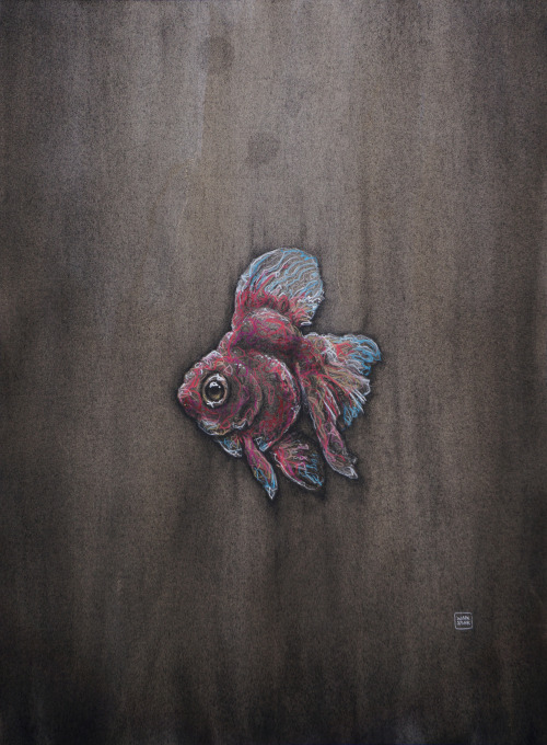 Ryukin Goldfish (18″x24″)