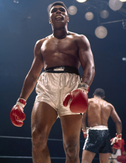 boxingsgreatest:  “It’s hard to be humble, when you’re as great as I am.”  - Muhammad Ali