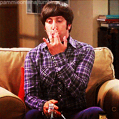howard-joel-wolowitz:  Howard Wolowitz Season 6 ep.1-10