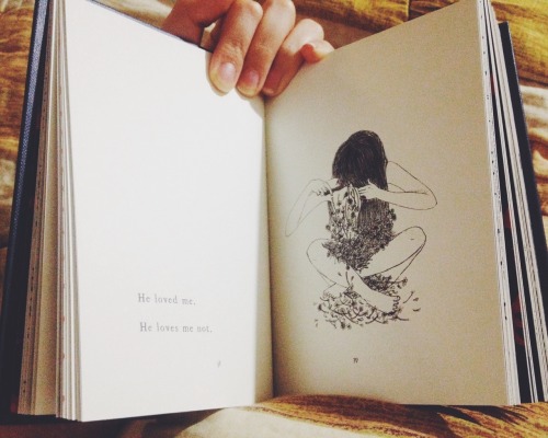 andinidanita:  “he loved me. he loves me not.” 