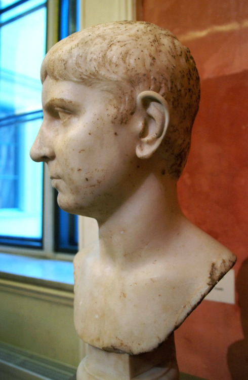 myglyptothek:Portrait of a young man of Julio-Claudian family. I century AD. Marble. State Hermitage