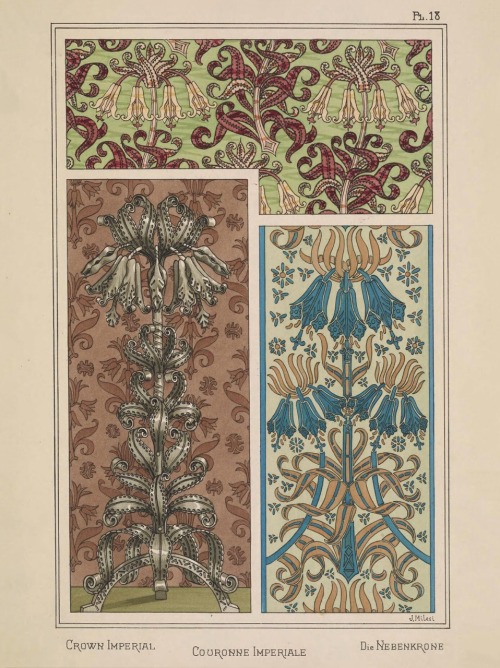 La plante et ses applications ornementales / plants and their application to ornament.1897.Edited by